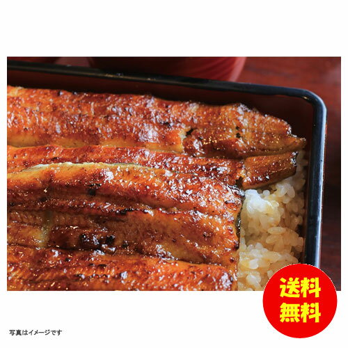 お中元 鹿児島県産うなぎ蒲焼(たれ・山椒付)冷凍 PFU-019A 【送料無料 北海道・沖縄・東北 別途加算】 [御中元 ギフト 中元 贈り物 結婚内祝い 新築内祝い 快気内祝い 引越内祝い 出産内祝い 内祝い お祝い お祝い返し 出産祝い お返し 返 お中元 鹿児島県産うなぎ蒲焼(たれ・山椒付)冷凍 PFU-019A 【送料無料 北海道・沖縄・東北 別途加算】 [御中元 ギフト 中元 贈り物 結婚内祝い 新築内祝い 快気内祝い 引越内祝い 出産内祝い 内祝い お祝い お祝い返し 出産祝い お返し 返