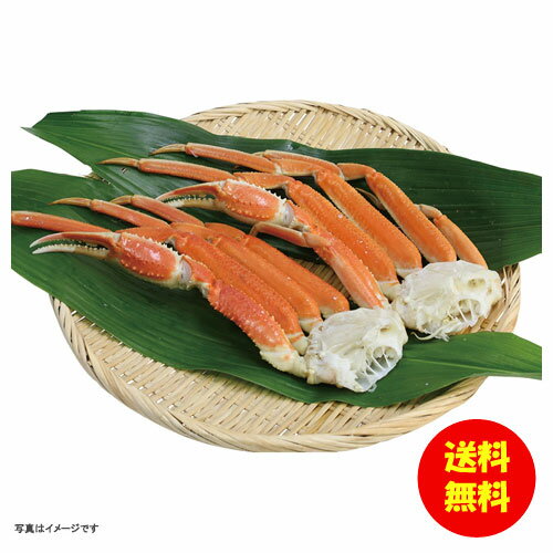 お中元 ずわい蟹肩脚冷凍 K912020-2 【送料無料 北海道・沖縄・東北 別途加算】 [御中元 ギフト 中元 贈り物 結婚内祝い 新築内祝い 快気内祝い 引越内祝い 出産内祝い 内祝い お祝い お祝い返し 出産祝い お返し 返礼]
