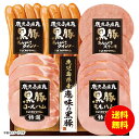 お中元 プリマハム 鹿児島県産恵味の黒豚ギフト冷蔵 BPS-300 【送料無料 北海道・沖縄・東北 別途加算】 [御中元 ギフト 中元 贈り物 結婚内祝い 新築...
