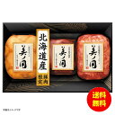 お中元 ニッポンハム 北海道 プレミアム 美ノ国冷蔵 UKH-49 【送料無料 北海道・沖縄・東北 別途加算】 [御中元 ギフト 中元 贈り物 結婚内祝い 新築...