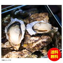 お中元 広島県漁業協同組合連合会 広島牡蠣のカンカン焼き冷凍 H-KY16 【送料無料 北海道・沖縄・東北 別途加算】 [御中元 ギフト 中元 贈り物 結婚内祝い 新築内祝い 快気内祝い 引越内祝い 出産内祝い 内祝い お祝い お祝い返し 出産祝い お