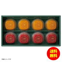 お中元 井村屋 AN gelee fruits AF-D 【送料無料 北海道・沖縄・東北 別途加算】 [御中元 ギフト 中元 贈り物 結婚内祝い 新築内祝い 快...