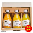 お中元 伊藤農園 100%ピュアジュースのみきり3本ギフトセット 50703 【送料無料 北海道・沖縄・東北 別途加算】 [御中元 ギフト 中元 贈り物 結婚内...