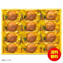 お中元 ひととえ 果実たっぷりゴールデンパインケーキ PCA-15 【送料無料 北海道・沖縄・東北 別途加算】 [御中元 ギフト 中元 贈り物 結婚内祝い 新築内祝い 快気内祝い 引越内祝い 出産内祝い 内祝い お祝い お祝い返し 出産祝い お返し 返