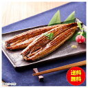 御中元 鰻楽 九州産うなぎ蒲焼2尾セット aQMN2/280 【冷凍】 【直送】 【送料無料 沖縄配送不可】 [御中元 中元 ギフト 贈り物 プレゼント お礼 ...
