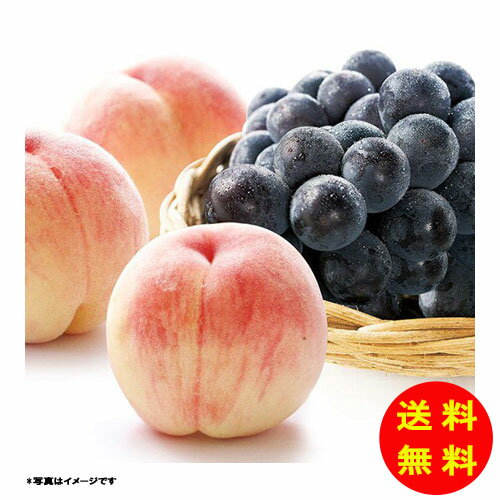 お中元 桃と広島三次ピオーネ AF-MP31 【冷蔵】 【送料無料 沖縄配送不可】 [御中...