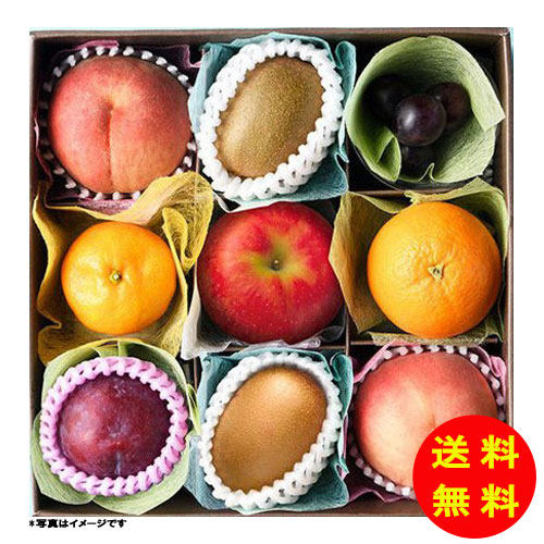お中元 夏の果物コフレ fw-kc-s 【冷蔵】 【送料無料 沖縄配送不可】 [御中元 中元...