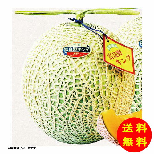 お中元 富良野キングメロン(ジャンボ) 1玉 【送料無料 沖縄配送不可】 [御中元 中元 ギフト 贈り物 プレゼント お礼 お返し 御礼]