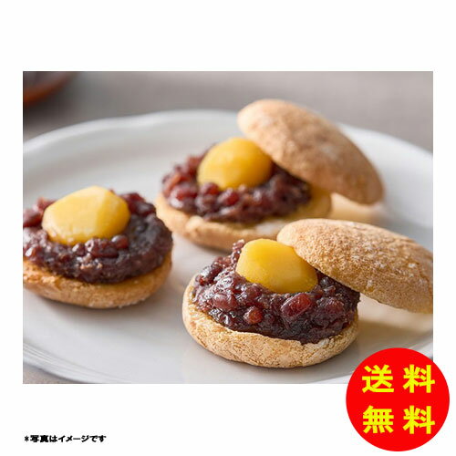 御歳暮 京都 井津美屋 京の名庭 10個入 KIA-01A 【冷凍】 【直送】 【送料無料 北海道・沖縄・東北 別途加算】 [御歳暮 歳暮 ギフト 贈り物 プレゼント お礼 お返し 御礼]