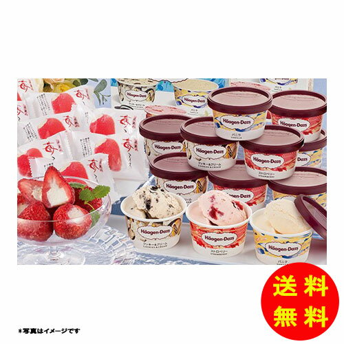 御歳暮 ハーゲンダッツ&苺アイス AH-HGRW 【冷凍】 【直送】 【送料無料 北海道・沖縄・東北 別途加算】 [御歳暮 歳暮 ギフト 贈り物 プレゼント お...