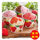 御歳暮 博多あまおうのこだわりアイス AH-ABR 【冷凍】 【直送】 【送料無料 北海道・沖縄・東北 別途加算】 [御歳暮 歳暮 ギフト 贈り物 プレゼント ...