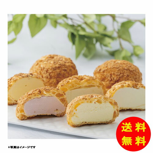 御歳暮 銀座千疋屋 銀座プレミアムシューアイス冷凍 PGS-506 【送料無料 北海道・沖縄・東北 別途加算】