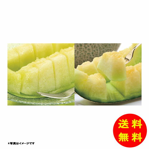 御歳暮 ダイワ果園 東西味比べメロン常温 MSK-10RW 【送料無料 北海道・沖縄・東北 別途加算】