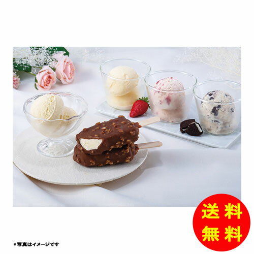 御歳暮 ハーゲンダッツ スペシャルセット冷凍 HD-SP 【送料無料 北海道・沖縄・東北 別途加算】