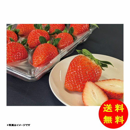 御歳暮 いただきいちご園 福岡県産 いちご食べ比べギフト冷蔵 F15-65 【送料無料 北海道・沖縄・東北 別途加算】
