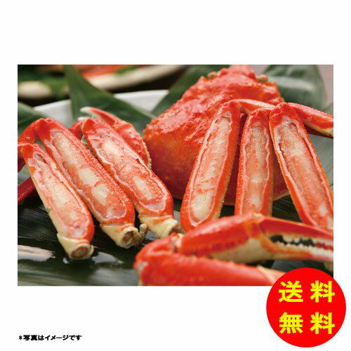 御歳暮 ずわい蟹肩脚冷凍 K912020-2 【送料無料 北海道・沖縄・東北 別途加算】