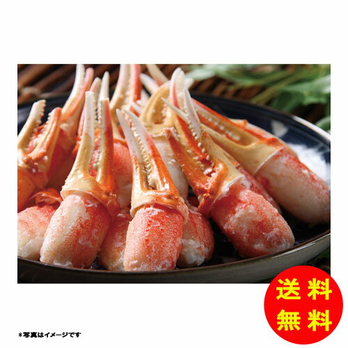 御歳暮 ボイルずわいがに爪冷凍 430304 【送料無料 北海道・沖縄・東北 別途加算】