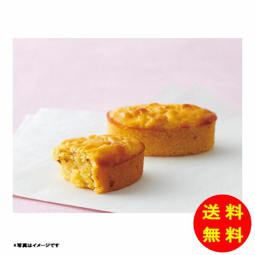 御歳暮 ひととえ こがね芋常温 KGB-10 【送料無料 北海道・沖縄・東北 別途加算】