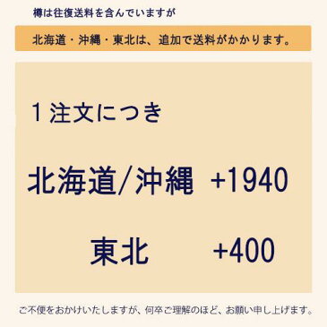 チューハイ アサヒ 樽ハイ 倶楽部 レモン 19L 樽詰 1本 (往復送料込) 【送料無料 北海道・沖縄・東北 別途加算】 [ バーベキュー、宴会、歓送迎会に！美味しいお酒がお好きな場所で楽しめます ビアサーバー お花見 BBQ イベン