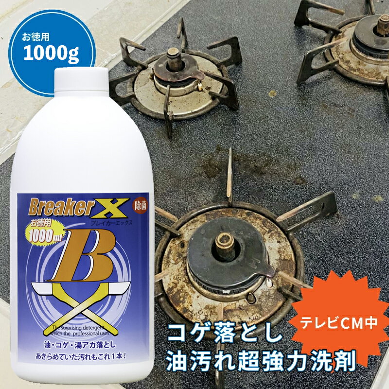 Ķޥ֥쥤å󥸥աɴ饳򥢥Ѷޥץ쥯꡼ʡå900gBreakerX
