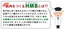 HMBシニア［機能性表示食品］送料無料 HMB1,200mg配合/日 180粒/約30日分 国産HMBカルシウム 筋肉づくりをサポート！シニアのためのHMBサプリメント 3