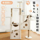 キャットタワー 猫タワー 木製 据え置き 省スペース おしゃれ 大型猫 透明宇宙船 猫ハウス ネコ 猫用 多頭飼い 爪とぎ 麻紐 運動不足 遊び場 2年保証