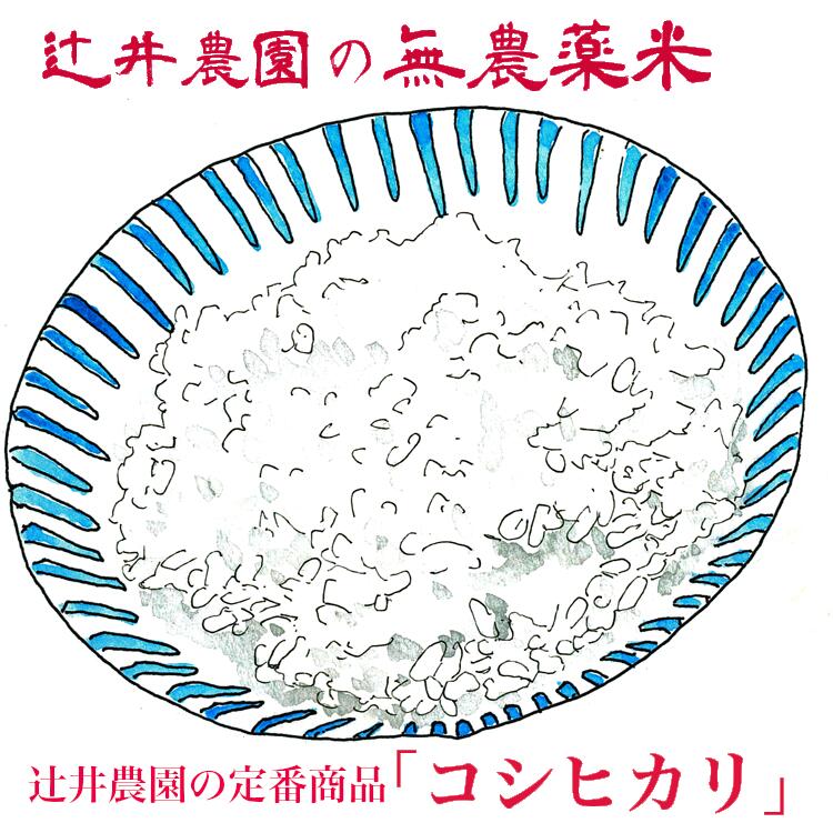 令和元年産　無農薬有機栽培米「コシヒカリ」　15kg　送料無料