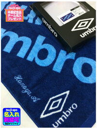 ◆タオル刺繍可◇メール便可◆【MIZUNO】ミズノスポーツタオル(マフラータオル/名入れ/お祝い/お返し/プレゼント)〔32JY71040132JY71040732JY710431〕※2017NEWモデル(2月上旬-中旬発売予定)