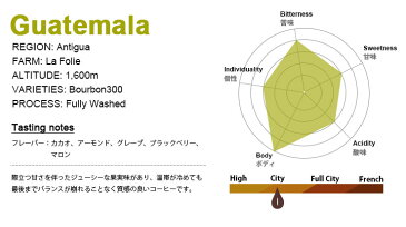 グァテマラ アンティグア ラ・フォリ—農園1kg（200g×5袋） スペシャルティコーヒー豆品種：ブルボン300　精製：フリーウォッシュド WINTER winter WINTER2019/20使用豆