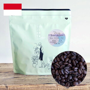 カフェインレスコーヒー豆デカフェ バリアラビカ - アロナ - 1kg（200g×5袋）Decaf Bali Arabica - ARONA -インドネシア産コーヒー豆スイスウォータープロセスTSUJIMOTO coffeeオリジナルブランド無農薬栽培 送料無料 水出し