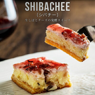 【送料無料】SHIBACHEE（シバチー）3個入【クール冷凍便】