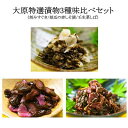 【3月1日〜内容量改定 壬生菜しば100g→60g】【メール便】【期間限定】【送料無料】【お試し】大原特選漬物3種味比べセット(刻みすぐき/胡瓜の赤しそ漬/壬生...