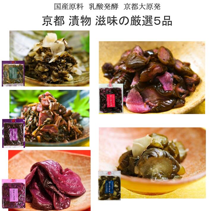 【メール便送料無料】京都 漬物 滋味の厳選5品　1,980円　食べ切りサイズ　お日持ち90日間