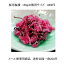 【メール便】桜花塩漬150g(徳用) お手軽単品メール便 (花房およそ70枚から75枚) 1,000円