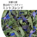 【メール便可】京都大原の恵み 里山が育んだハーブティ ミントブレンド※気温の高い夏季期間はメール便休止中◆受付再開は9月19日(金)から◆発送は9月26日(金)から◆残暑厳しい見込みのため◆日時指定はお控えください◆