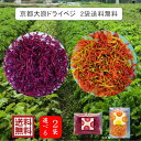 国産 乾燥野菜 京都大原ドライベジ 2袋送料無料メール便 選べる2種類 農薬不使用 化成肥料不使用