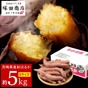 茨城 紅はるか 訳あり 5kg 送料無料 サイズ小さめ 甘い こだわり サツマイモ さつまいも さつま芋 美容 低GI スイーツ お取り寄せスイーツ お菓子 和菓子 食品 食べ物 手作り 国産 ギフト お徳用 マツコの知らない世界