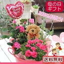 母の日 カーネーション 花 ギフト 送料無料【わんちゃんトピ...