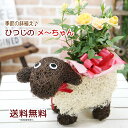 送料無料 色々選べる【もこもこおなかのひつじのメーさん又は福...
