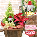 ポインセチア クリスマス お歳暮 キラキラ光るラメ付きポインセチアに無料変更可能 送料無料【 クリスマスツリー ポインセチア カゴBOXに寄せ鉢花セット】鉢花 ギフト 鉢植え 寄せカゴ 誕生日