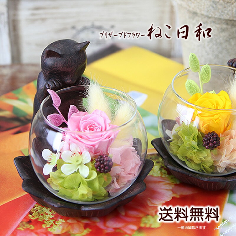 プリザーブドフラワー 花 ギフト 覗き込む猫背が可愛い ねこ日和 誕生日 プレゼント 送料無料 ケース入り バレンタイン