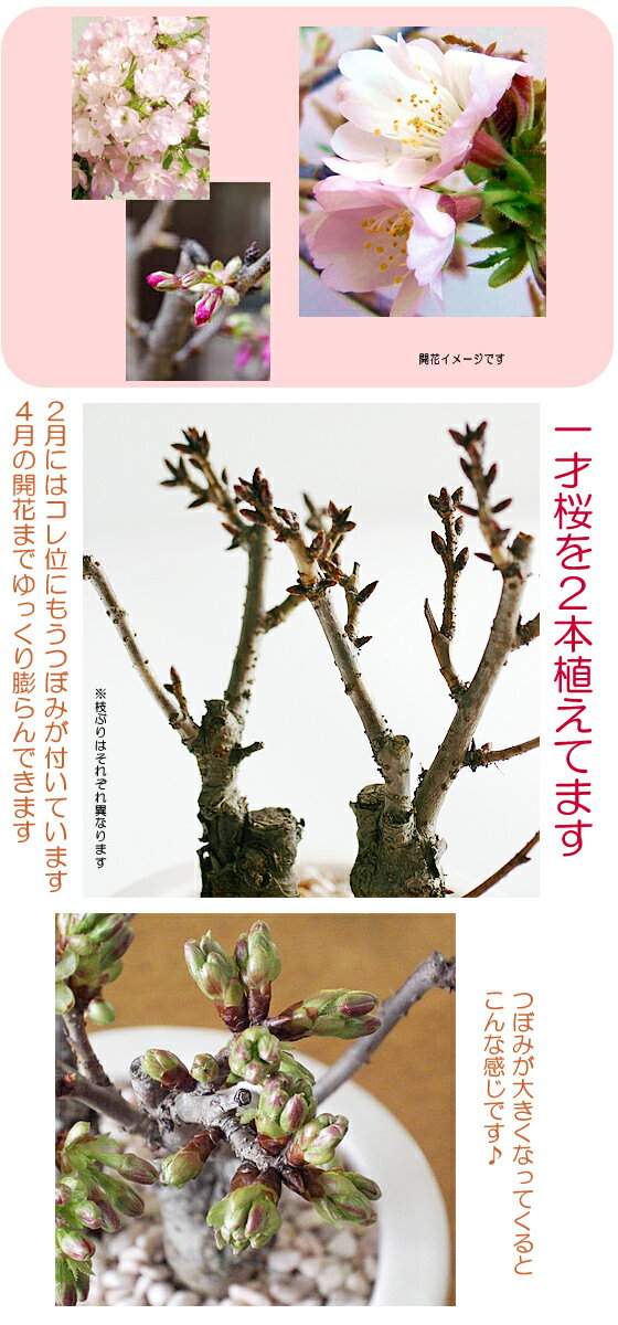 �� �ߺ� ȭ�� ����̵�� ��ڤ�2�ܿ��� �����Ԥ��������¿��� ��������ֲ꤬�դ��Ƥ��ޤ� �餤�����Υܥ�塼�ब�㤦 ���ȤǤ����ڤ��ָ��ڰ�ͺ��ʰ�������ƫ�￢���ۤ����� ������ �� ���ե� ������ ���ˤ� ´�Ƚˤ� ���ؽˤ� �࿦�ˤ� �뺧��ǰ��