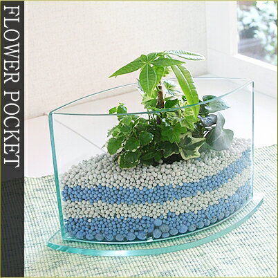 インテリアプランツ【ネオソイルプランツ】ブルーサンド　アイランド