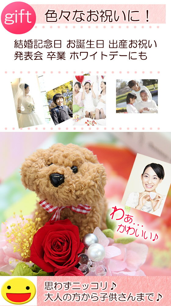 プリザーブドフラワー 花 ギフト プードルちゃんVerポムリ アレンジメント ケース入り 送料無料 バレンタイン格安通販　バレンタイン　人気　ランキング