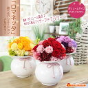 プリザーブドフラワー 送料無料 ロマネッタ 誕生日 花 プレゼント ギフト 誕生日 贈り物 お礼 お祝い 結婚記念日 卒業祝い 入学祝い 退職祝い 卒園祝い 入...