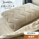 ロハテックス 枕 ピローパッド　普通判1枚 45×65cm FUWARM 冬物