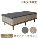 LOHATEX 敷きパッド（厚さ2.5cm） マットレス シングル 100×200×2.5cm 高反発寝具 腰痛 肩こり 首こり