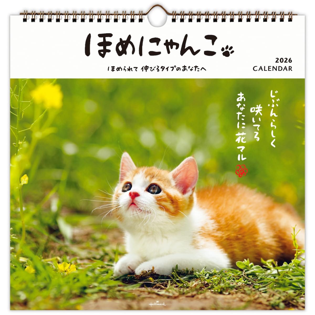 【サイズ】300×300mm【枚数】表紙1枚　本文12枚【仕様】ツインリング綴じ/六曜・二十四節気付き/台紙付き/祝日表記：日本語/12ヶ月絵柄情報シート1枚【その他】褒められて伸びる猫派のあなたへ！毎月可愛いネコちゃんたちが褒めてくれる、写真入りの大きな壁掛けカレンダーです。