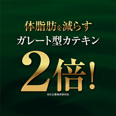 【法人・企業様限定販売】伊藤園 おーいお茶 濃い茶 600ml PET× 48本 ( 24本 ×2ケ...