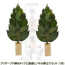 【ポイント5倍 期間限定】【個人様購入可能】●水換え不要 枯れない 榊 プリザーブド 榊 Mタイプと 国産ヒノキの 榊立て セット (1対) A&K [ST-0...
